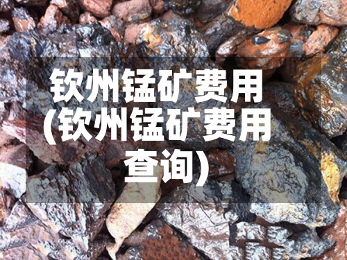 钦州锰矿费用(钦州锰矿费用查询)-第2张图片