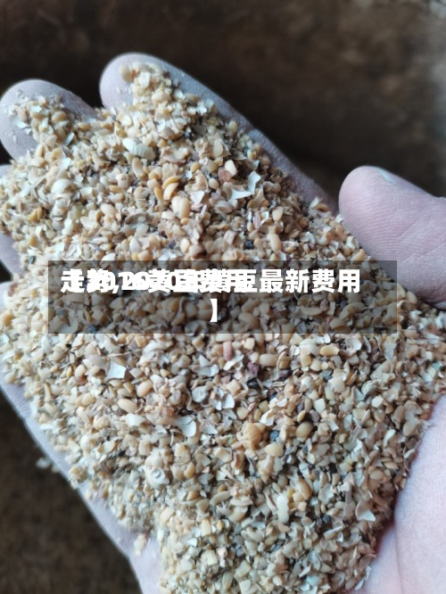 【2016黄豆费用走势,2020年黄豆最新费用】-第2张图片