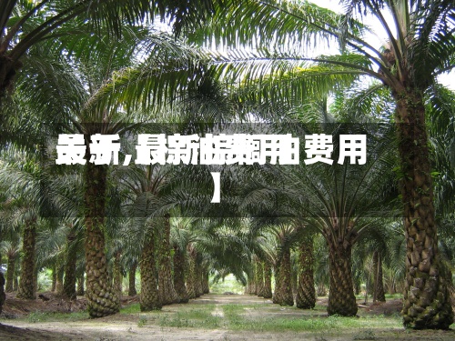关于【棕油费用最新,最新棕榈油费用】-第3张图片