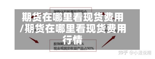 期货在哪里看现货费用/期货在哪里看现货费用行情-第3张图片