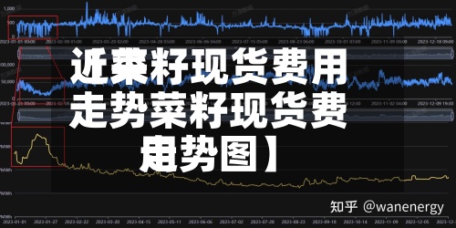 近来【菜籽现货费用走势菜籽现货费用走势图】-第2张图片