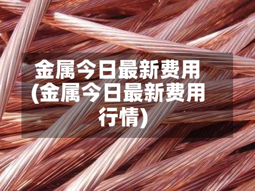 金属今日最新费用(金属今日最新费用行情)-第2张图片