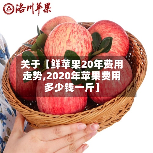 关于【鲜苹果20年费用走势,2020年苹果费用多少钱一斤】