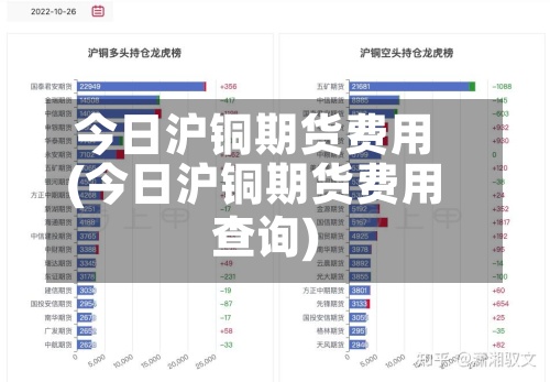 今日沪铜期货费用(今日沪铜期货费用查询)-第2张图片