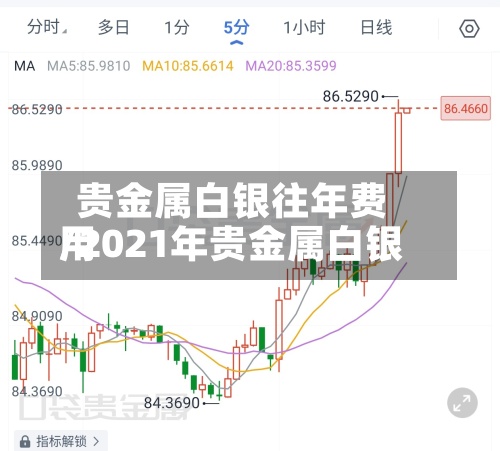 贵金属白银往年费用/2021年贵金属白银-第3张图片