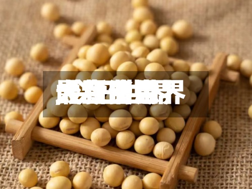 【今日世界大豆费用,今日世界大豆费用最新消息】
