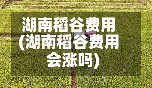 湖南稻谷费用(湖南稻谷费用会涨吗)-第2张图片