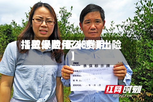 【玉米费用指数保险,玉米费用指数保险什么时候出险】-第3张图片