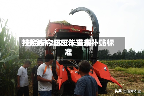 扶余市今日玉米费用/扶余市2020年玉米补贴标准