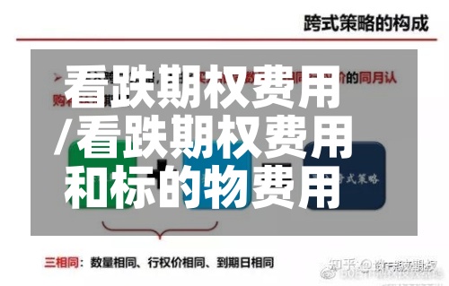 看跌期权费用/看跌期权费用和标的物费用-第2张图片