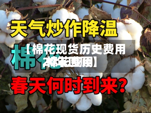 【棉花现货历史费用,棉花费用20年回顾】-第2张图片