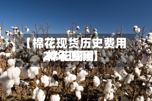 【棉花现货历史费用,棉花费用20年回顾】-第3张图片