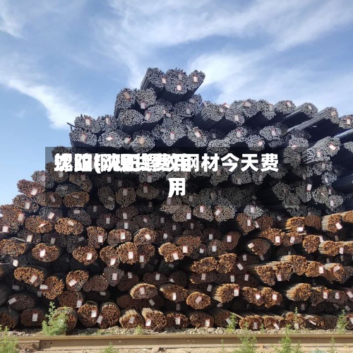 螺纹钢现货费用
沈阳(沈阳螺纹钢材今天费用
)-第2张图片