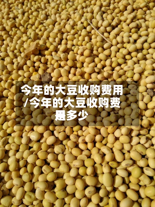 今年的大豆收购费用
/今年的大豆收购费用
是多少
