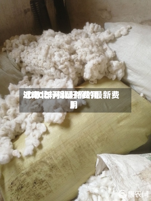 近来【河北籽棉最新费用2020年河北籽棉的最新费用】-第2张图片
