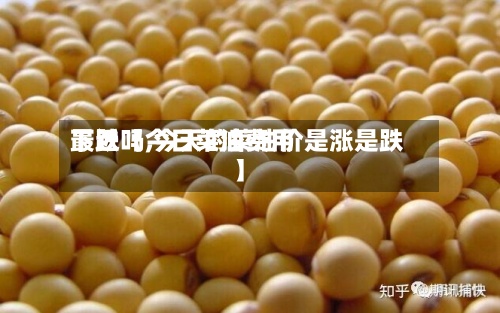 最近【今日菜油费用下跌吗,今天的菜油价是涨是跌】-第2张图片