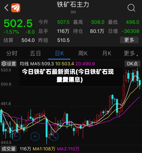 今日铁矿石最新资讯(今日铁矿石现货费用最新消息)-第2张图片