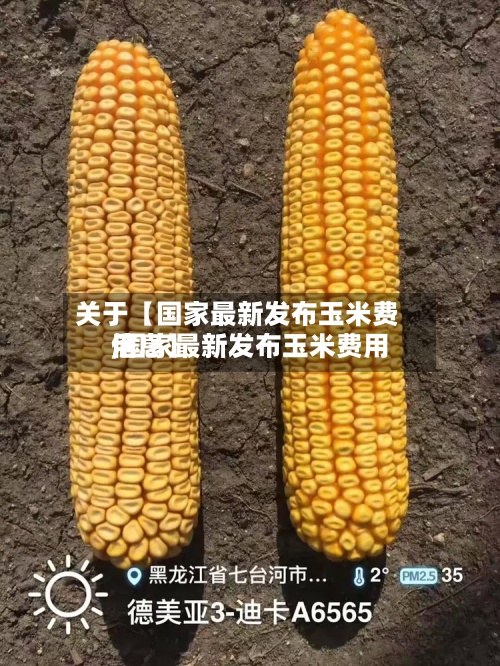 关于【国家最新发布玉米费用,国家最新发布玉米费用信息】-第2张图片