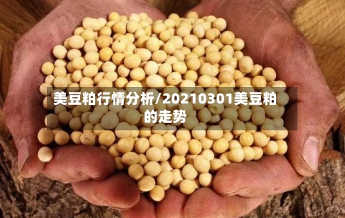 美豆粕行情分析/20210301美豆粕的走势-第2张图片