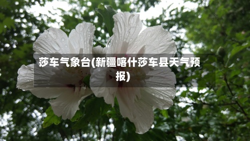 莎车气象台(新疆喀什莎车县天气预报)