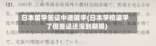 日本留学签证中途辍学(日本学校退学了但签证还没到期限)-第3张图片