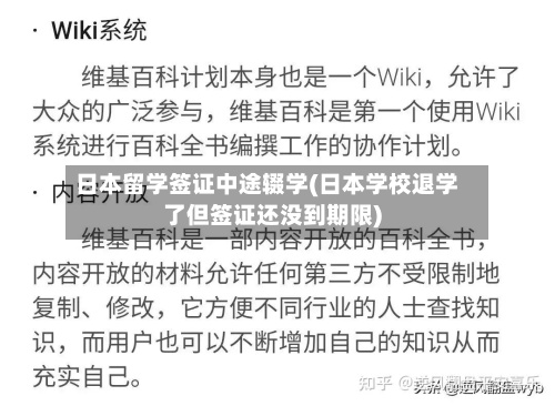 日本留学签证中途辍学(日本学校退学了但签证还没到期限)