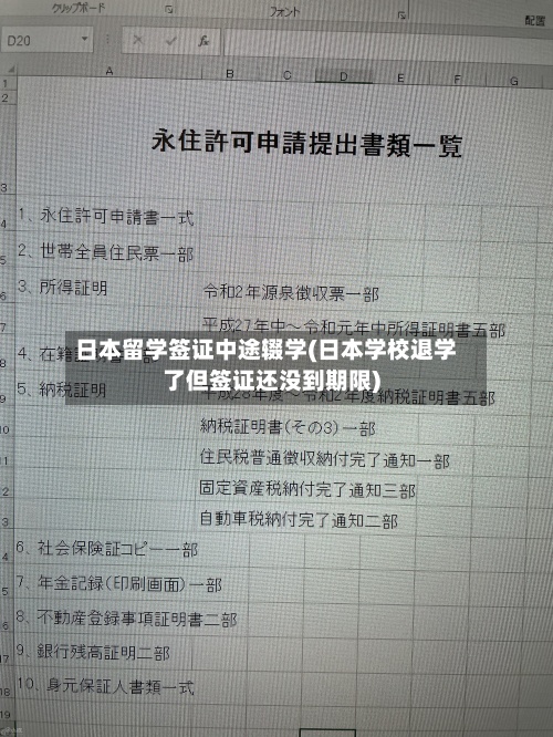 日本留学签证中途辍学(日本学校退学了但签证还没到期限)-第2张图片