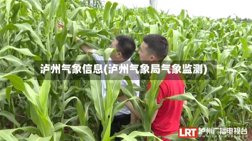 泸州气象信息(泸州气象局气象监测)-第2张图片