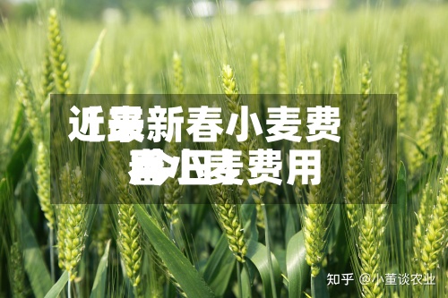 近来【最新春小麦费用春小麦费用 今日】