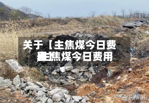 关于【主焦煤今日费用,主焦煤今日费用表】