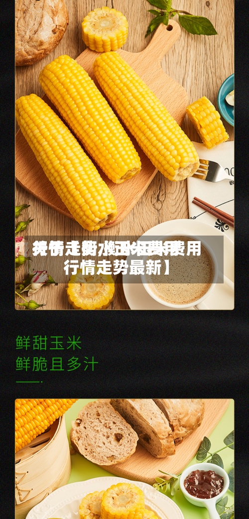关于【衡水玉米费用
行情走势,衡水玉米费用
行情走势最新】