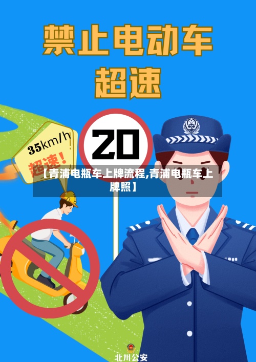 【青浦电瓶车上牌流程,青浦电瓶车上牌照】-第3张图片