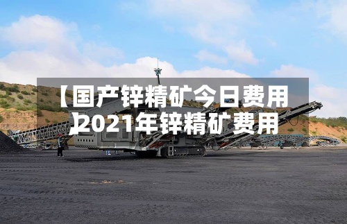 【国产锌精矿今日费用
,2021年锌精矿费用
】
