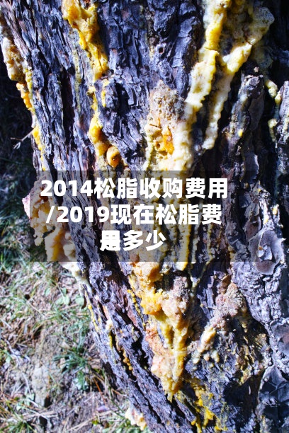 2014松脂收购费用/2019现在松脂费用是多少-第2张图片