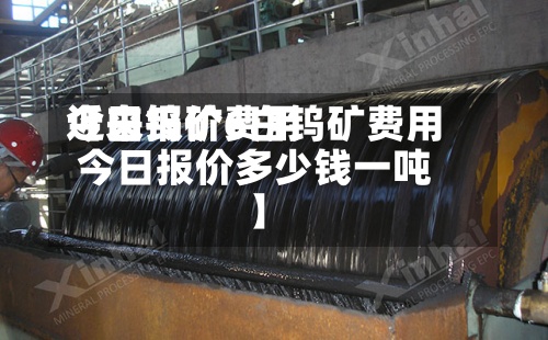 近来【白钨矿费用今日报价6白钨矿费用今日报价多少钱一吨】-第3张图片