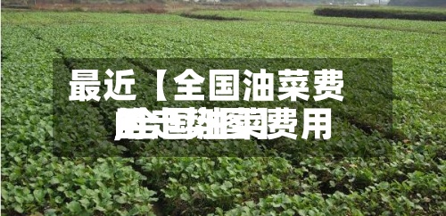 最近【全国油菜费用,全国油菜费用的走势图】