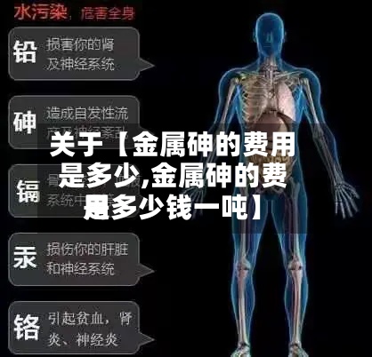 关于【金属砷的费用
是多少,金属砷的费用
是多少钱一吨】-第2张图片