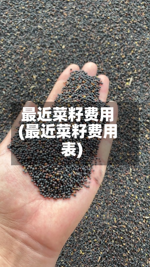 最近菜籽费用(最近菜籽费用表)