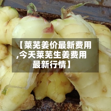 【莱芜姜价最新费用,今天莱芜生姜费用最新行情】-第2张图片