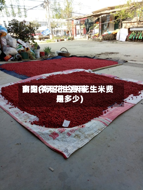 南阳今天花生费用多少(南阳市今天花生米费用是多少)-第2张图片