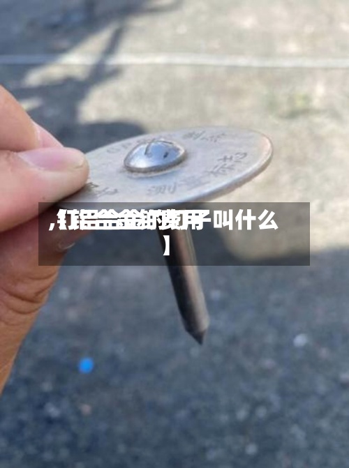 【铝合金钉费用,钉铝合金的钉子叫什么】-第2张图片