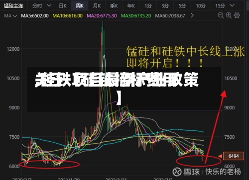 关于【硅铁招标费用,硅铁项目最新产业政策】-第2张图片