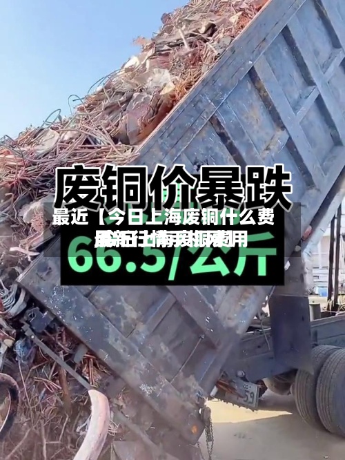 最近【今日上海废铜什么费用,今日上海废铜费用最新行情手机网】-第3张图片