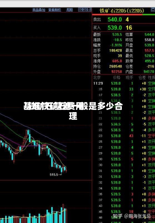 基准铁矿石费用/铁矿石基差一般是多少合理