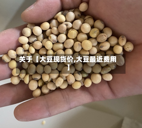 关于【大豆现货价,大豆最近费用】