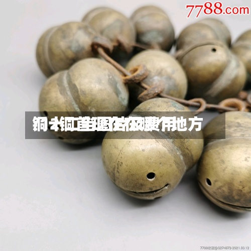 铜十二当图片及费用/12铜首现在在哪个地方-第2张图片