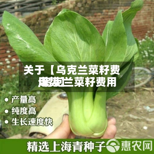 关于【乌克兰菜籽费用,乌克兰菜籽费用走势】-第2张图片