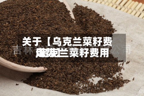 关于【乌克兰菜籽费用,乌克兰菜籽费用走势】-第3张图片