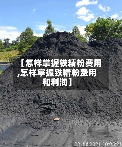 【怎样掌握铁精粉费用,怎样掌握铁精粉费用和利润】