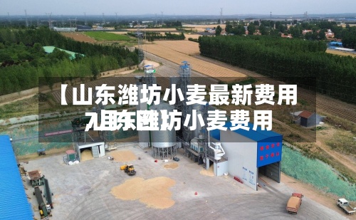 【山东潍坊小麦最新费用,山东潍坊小麦费用7月1日】-第2张图片